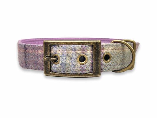 Dog collar with a purple and gray patterned strap and brass buckle on a white background