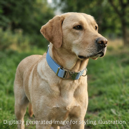 Pastel Blue Waterproof Biothane Metal Clasp Dog Collar