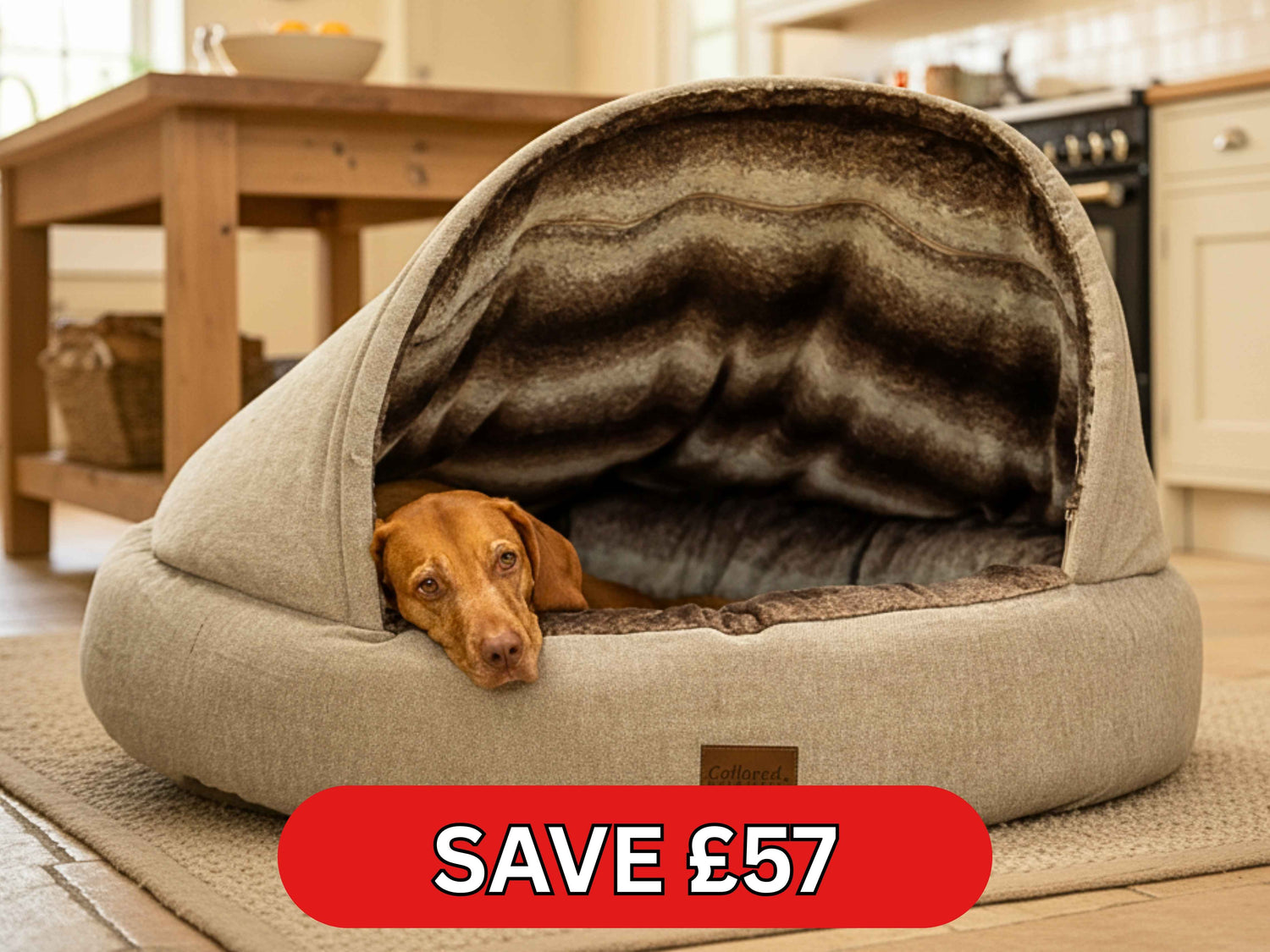 Dog lying in a cozy pet bed with a 'Save £57' label in a kitchen setting