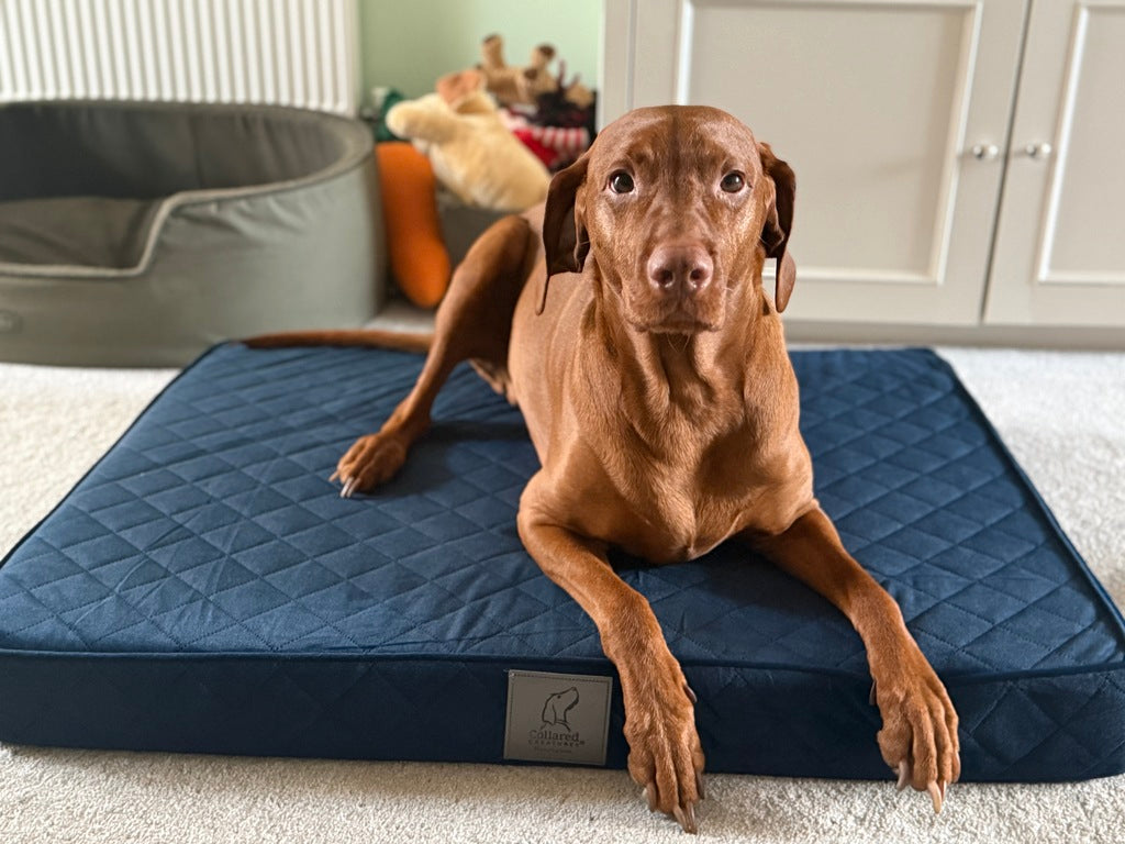 Sapphire Blue Velour Luxury Mattress Dog Bed