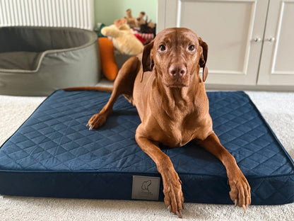 Sapphire Blue Velour Luxury Mattress Dog Bed