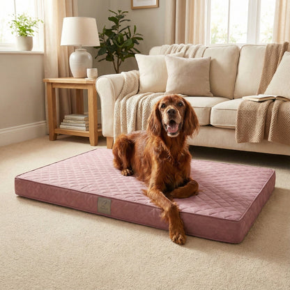Dog lying on a pink memory foam dog bed in a cozy living room