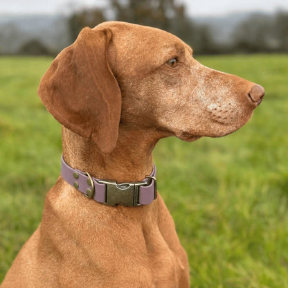 Mauve Waterproof Biothane Metal Clasp Dog Collar