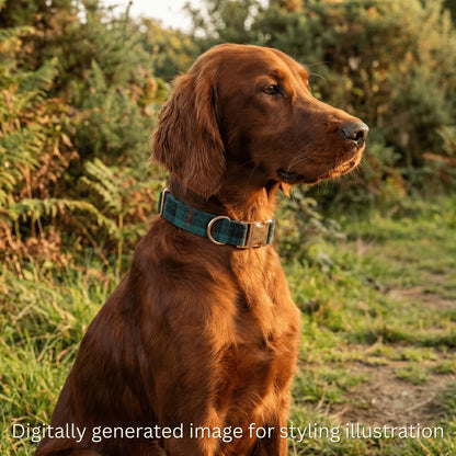 Baird Modern Tartan Dog Collar