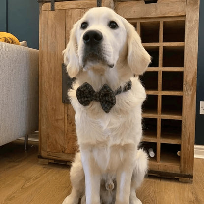 Autumn Houndstooth Luxury Harris Tweed Dog Collar - Collared Creatures LTD