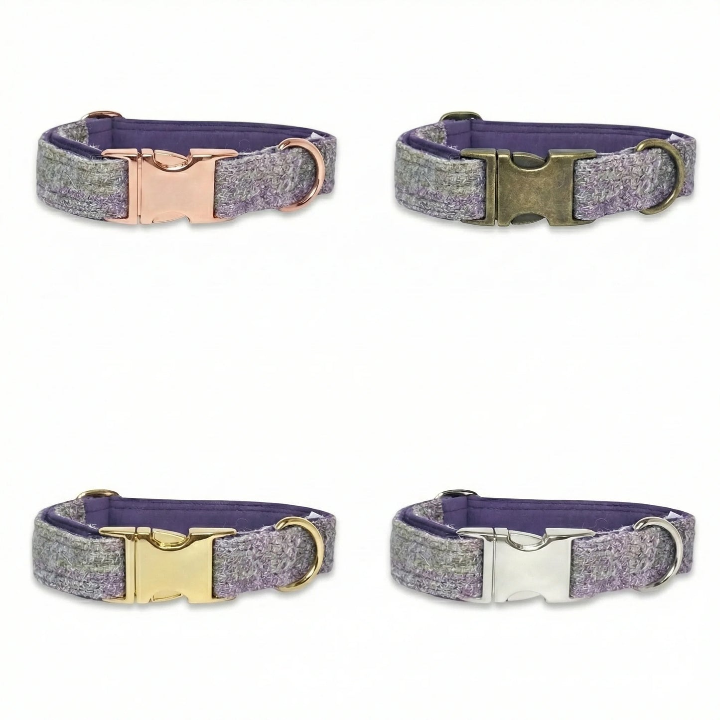 Four dog collars with different buckles on a white background