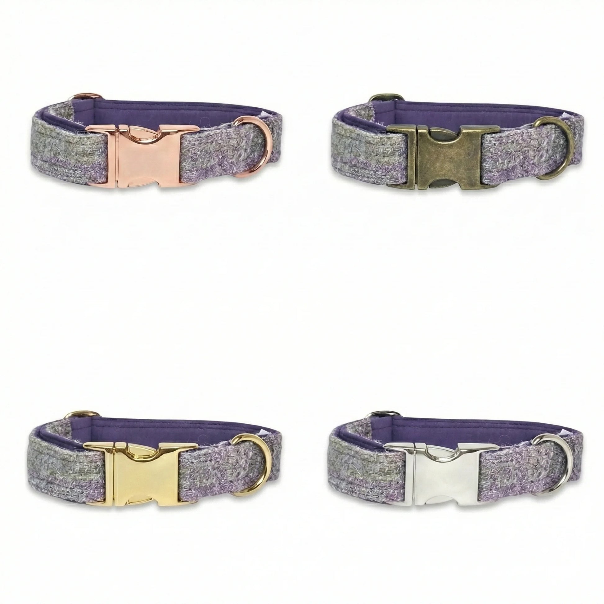 Four dog collars with different buckles on a white background