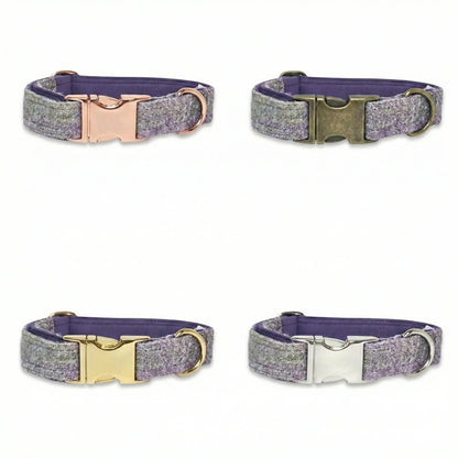 Four dog collars with different buckles on a white background