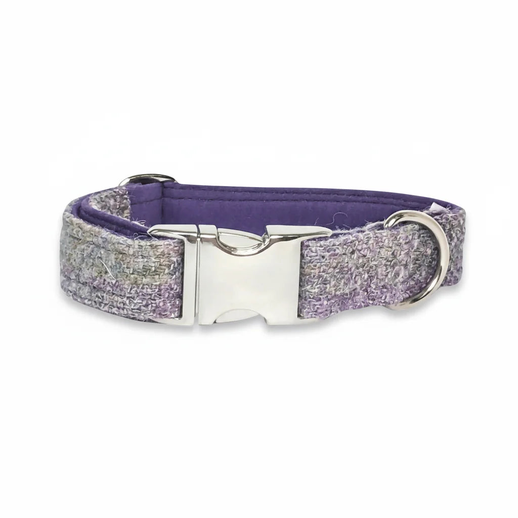 Lavender block check Harris Tweed dog collar with silver buckle on a white background