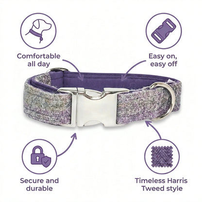 Lavender Block Check Harris Tweed Dog Collar
