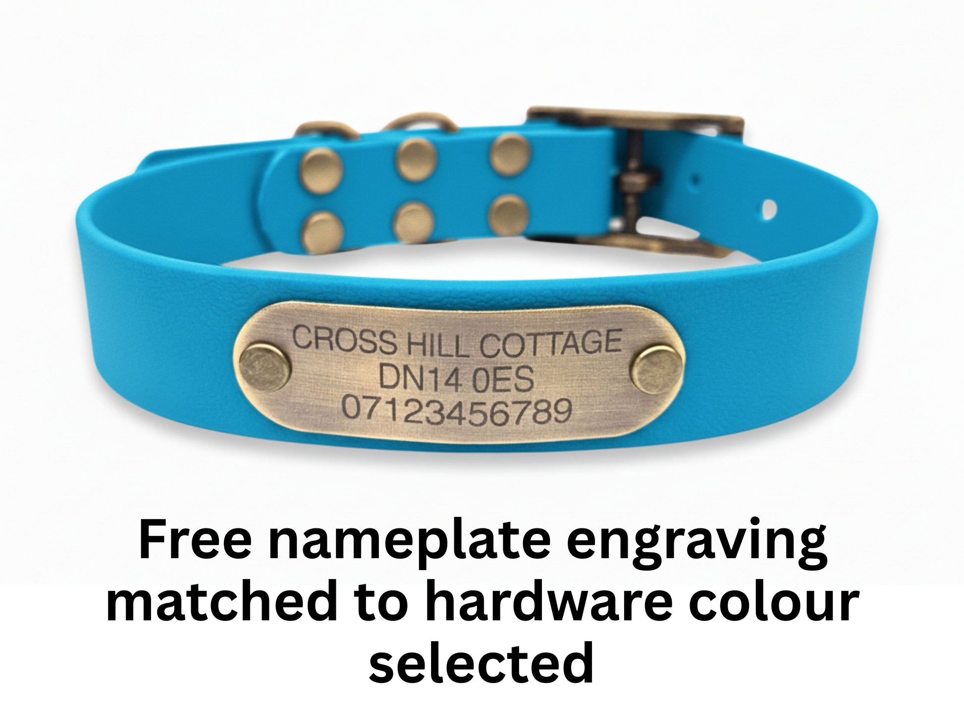 Blue dog collar with a brass nameplate on a white background