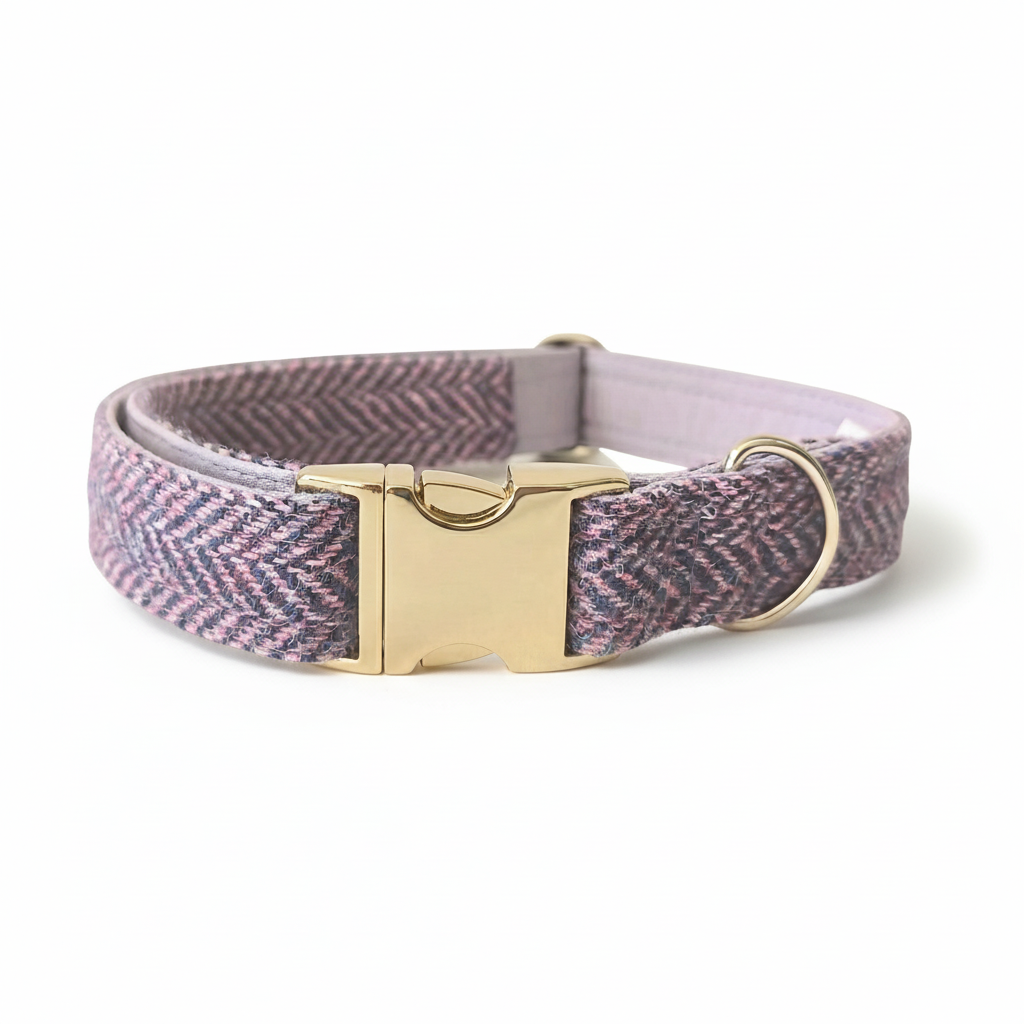 Lilac and blue herringbone Harris Tweed dog collar with brass clasp on a white background