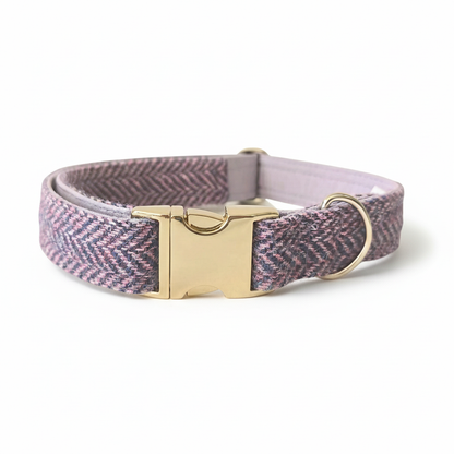 Lilac and blue herringbone Harris Tweed dog collar with brass clasp on a white background