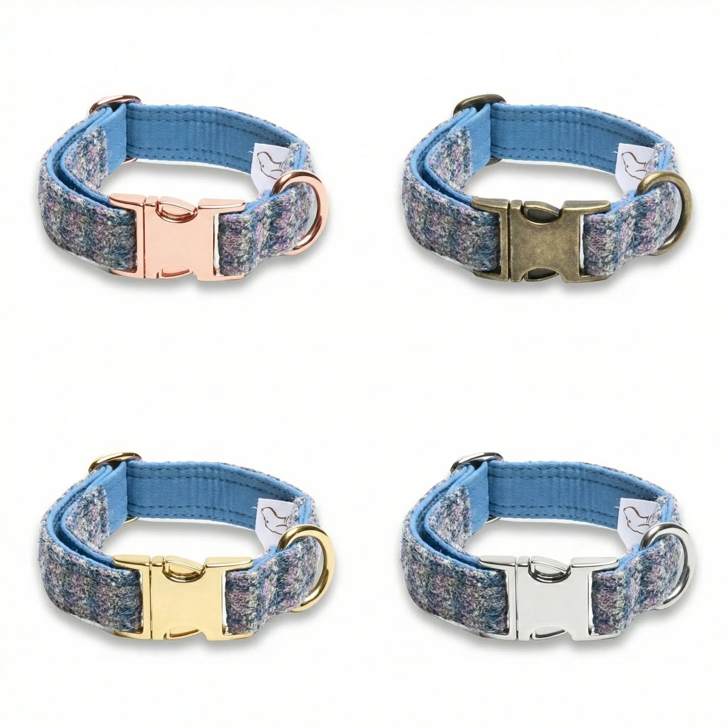 Four dog collars with different metal buckles on a white background