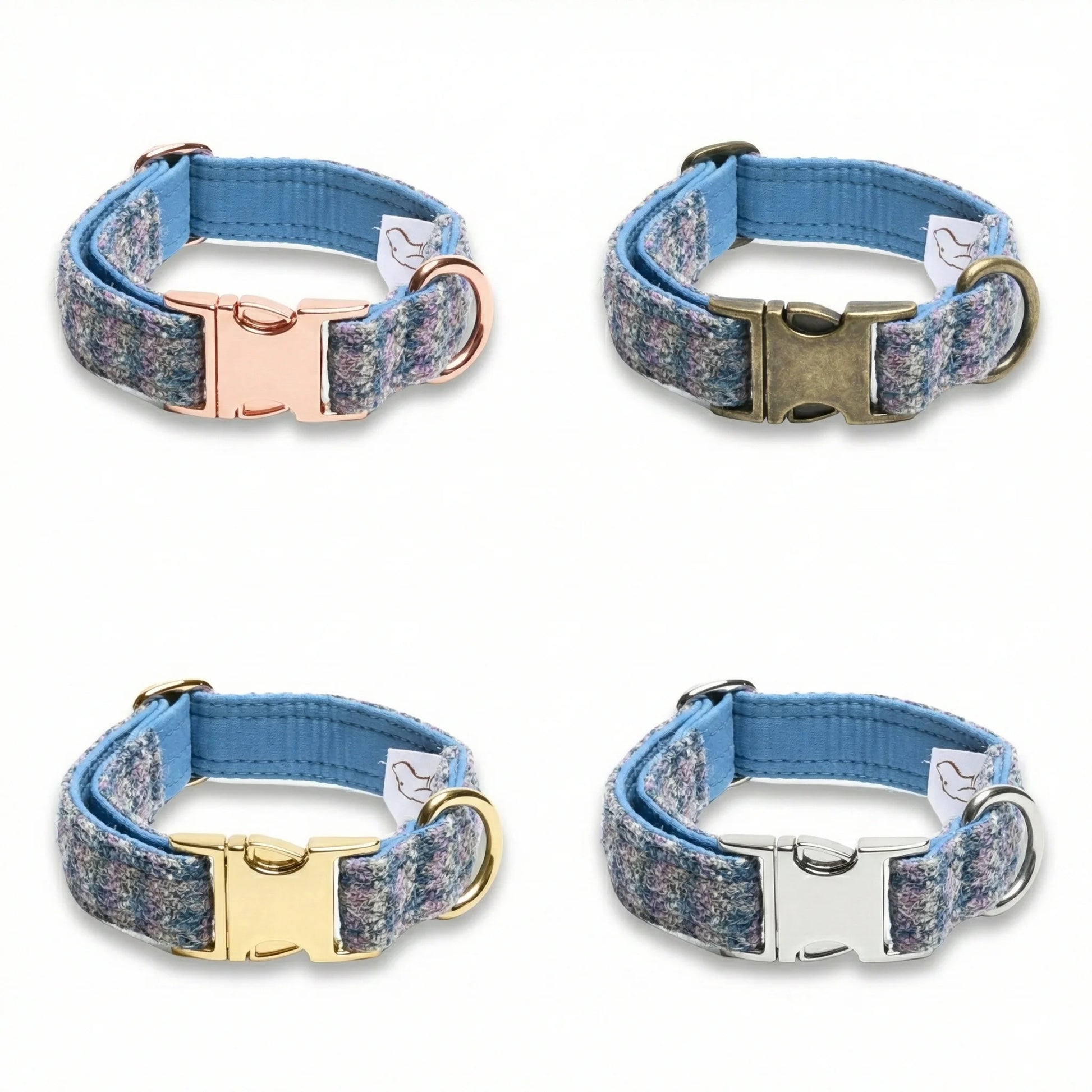 Four dog collars with different metal buckles on a white background