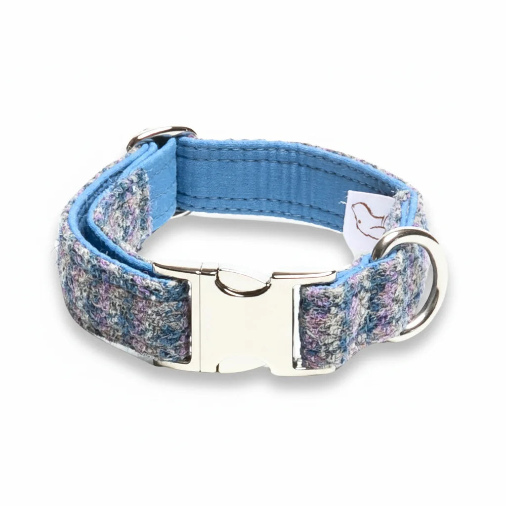 Lilac and blue small check Harris Tweed dog collar with silver clasp buckle on a white background