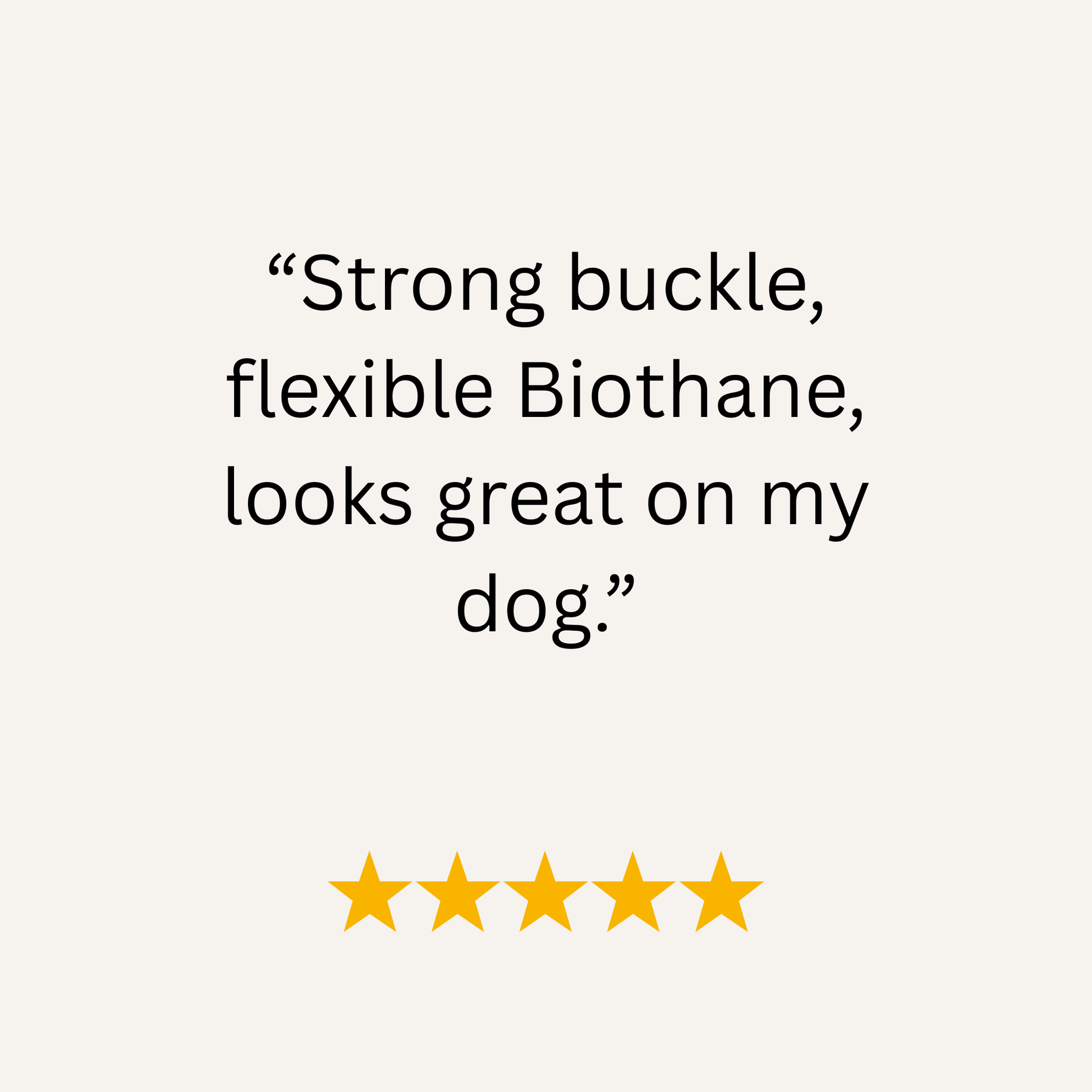 Dark Brown Waterproof Biothane Buckle Dog Collar - Collared Creatures LTD