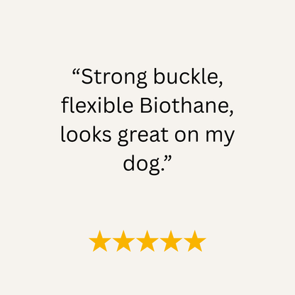 Dark Brown Waterproof Biothane Buckle Dog Collar - Collared Creatures LTD