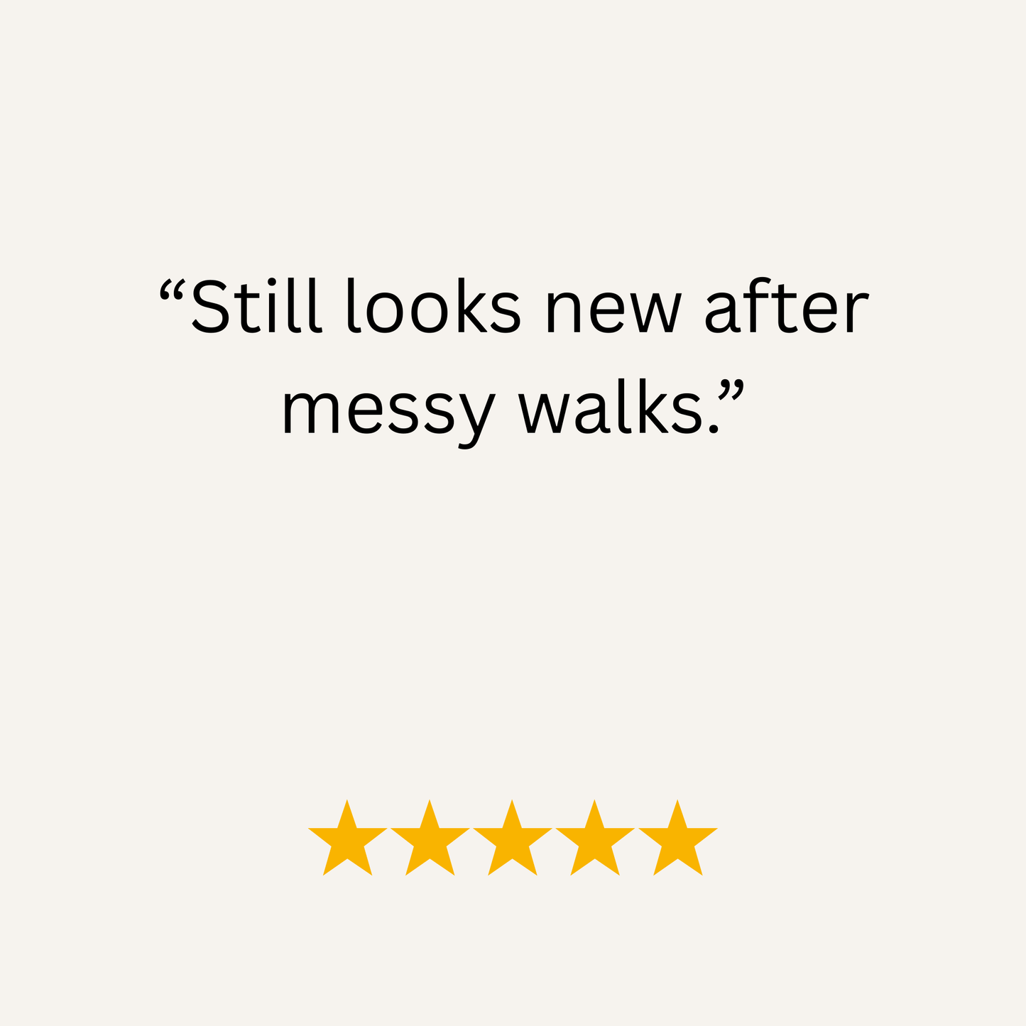 Tangerine Waterproof Biothane Metal Clasp Dog Collar