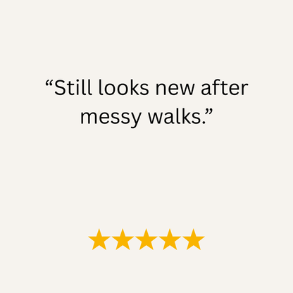 Tangerine Waterproof Biothane Metal Clasp Dog Collar