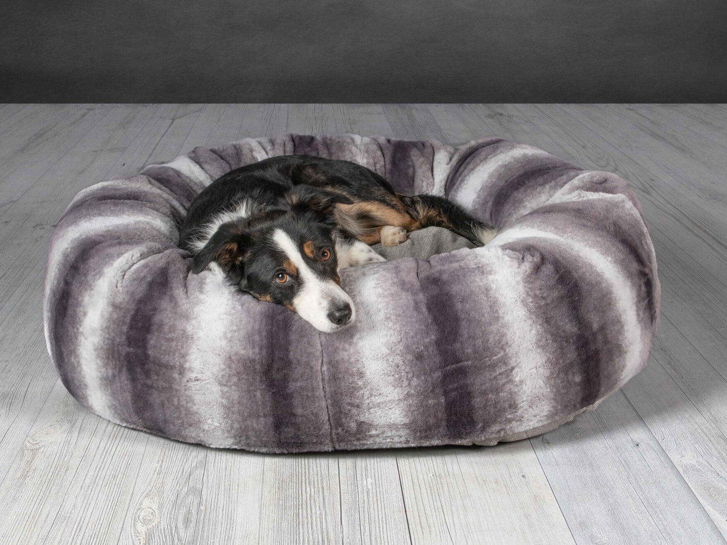 Border Collie sleeping in a luxury grey faux fur donut dog bed