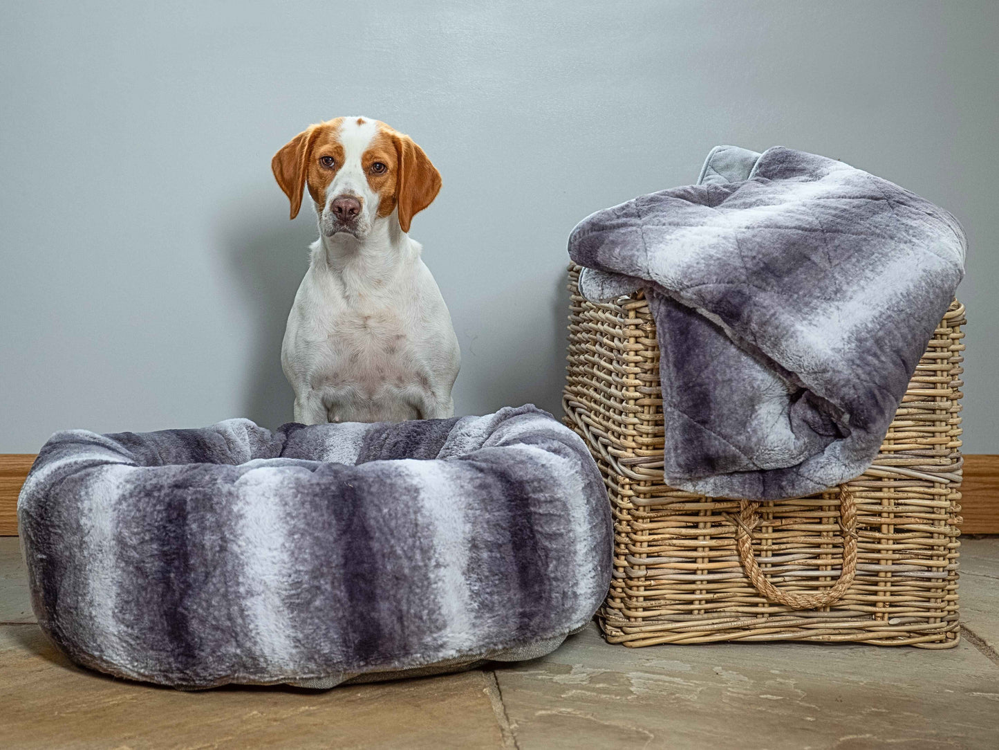 Beagle with luxury grey faux fur dog blanket and matching dog bed in natural setting