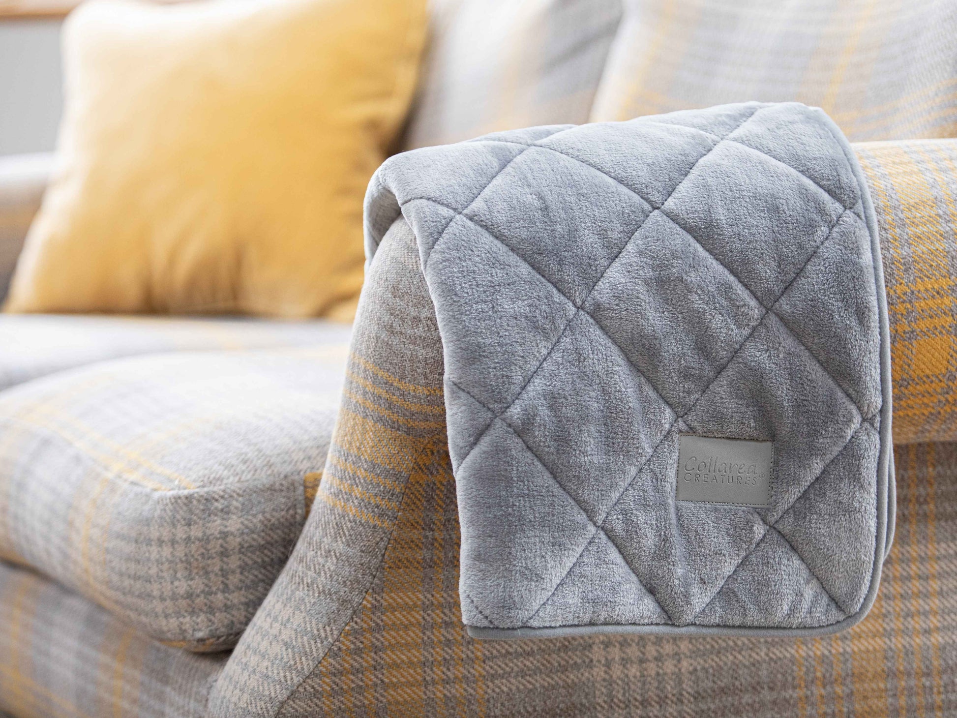 Luxury quilted grey dog blanket draped over a stylish sofa for pet hair protection and furniture style.