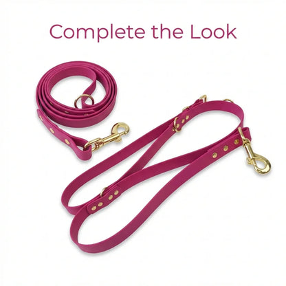 Magenta Waterproof Biothane Buckle Dog Collar - Collared Creatures LTD