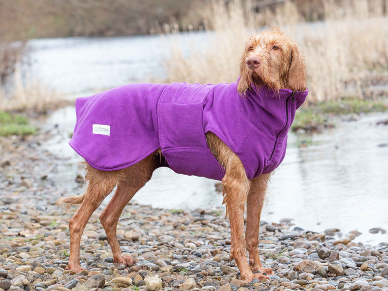 How to Choose the Right Size Dog Drying Coat