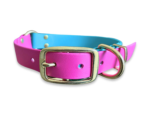 Magenta & Teal Multicolour waterproof dog collar made from Biothane – strong, stylish and odour-resistant – by Collared Creatures