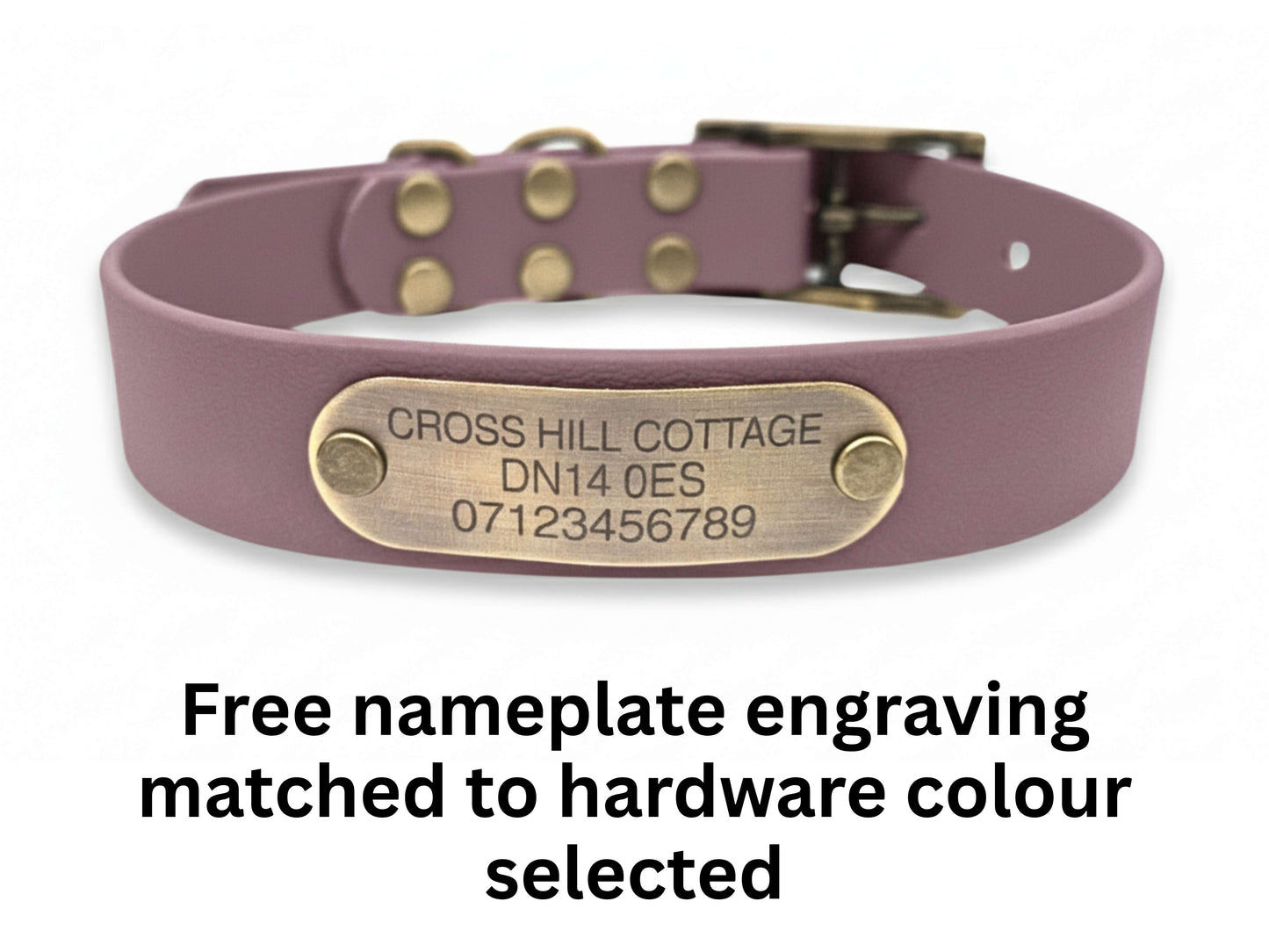 Purple leather dog collar with a brass nameplate on a white background