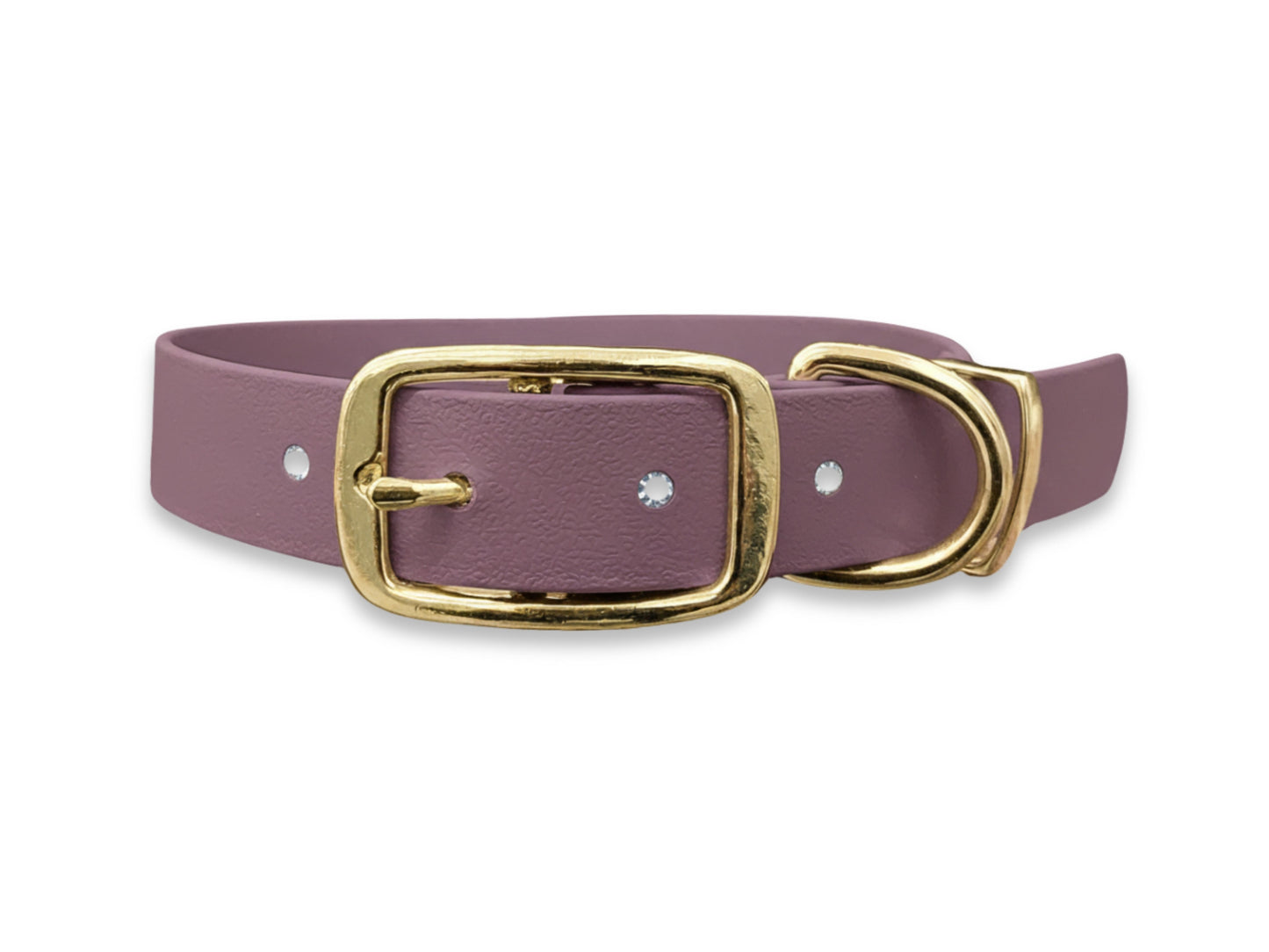 Purple dog collar with a gold buckle on a white background