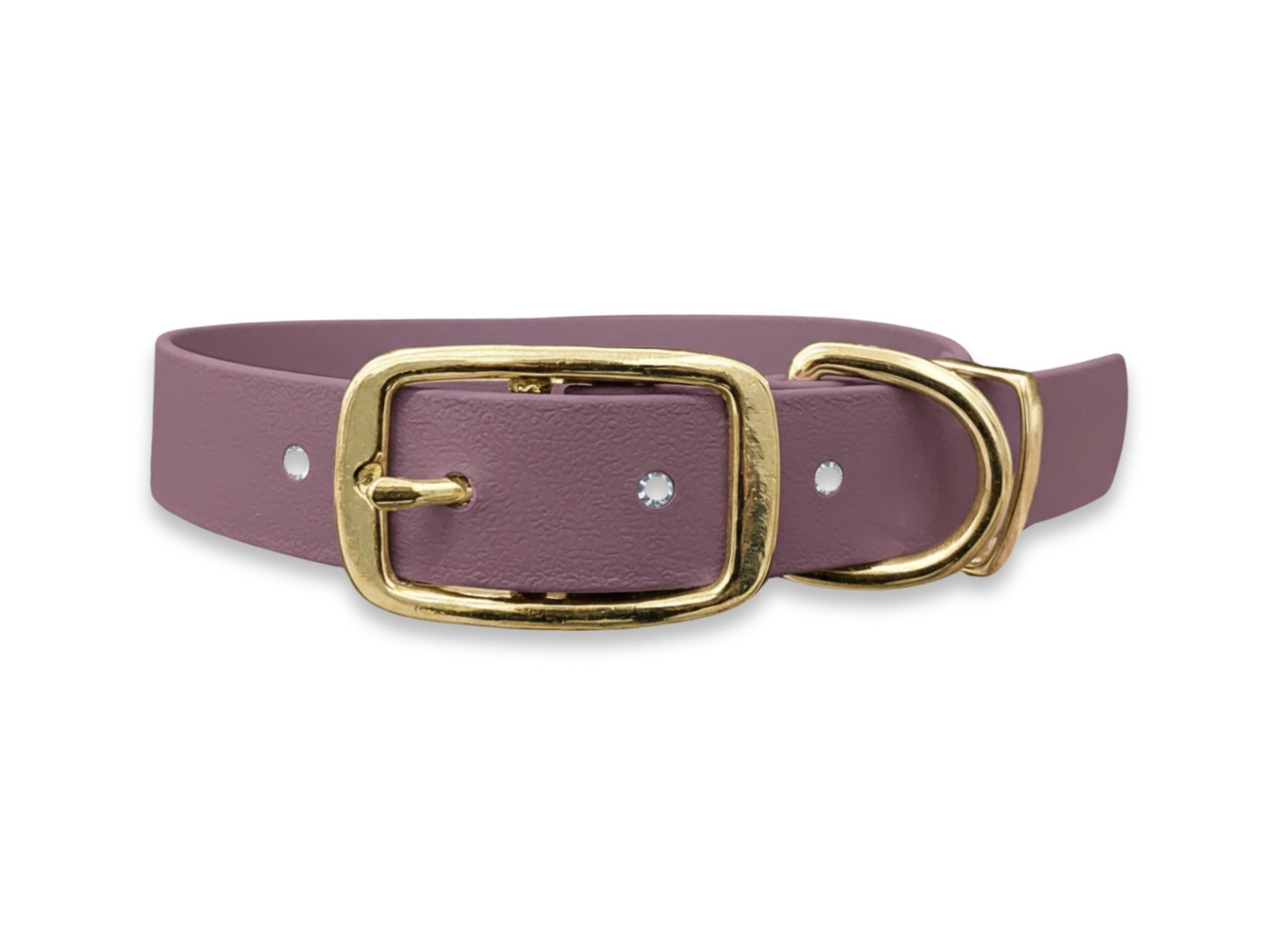 Purple dog collar with a gold buckle on a white background