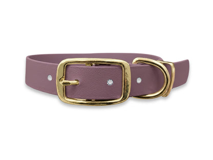 Purple dog collar with a gold buckle on a white background