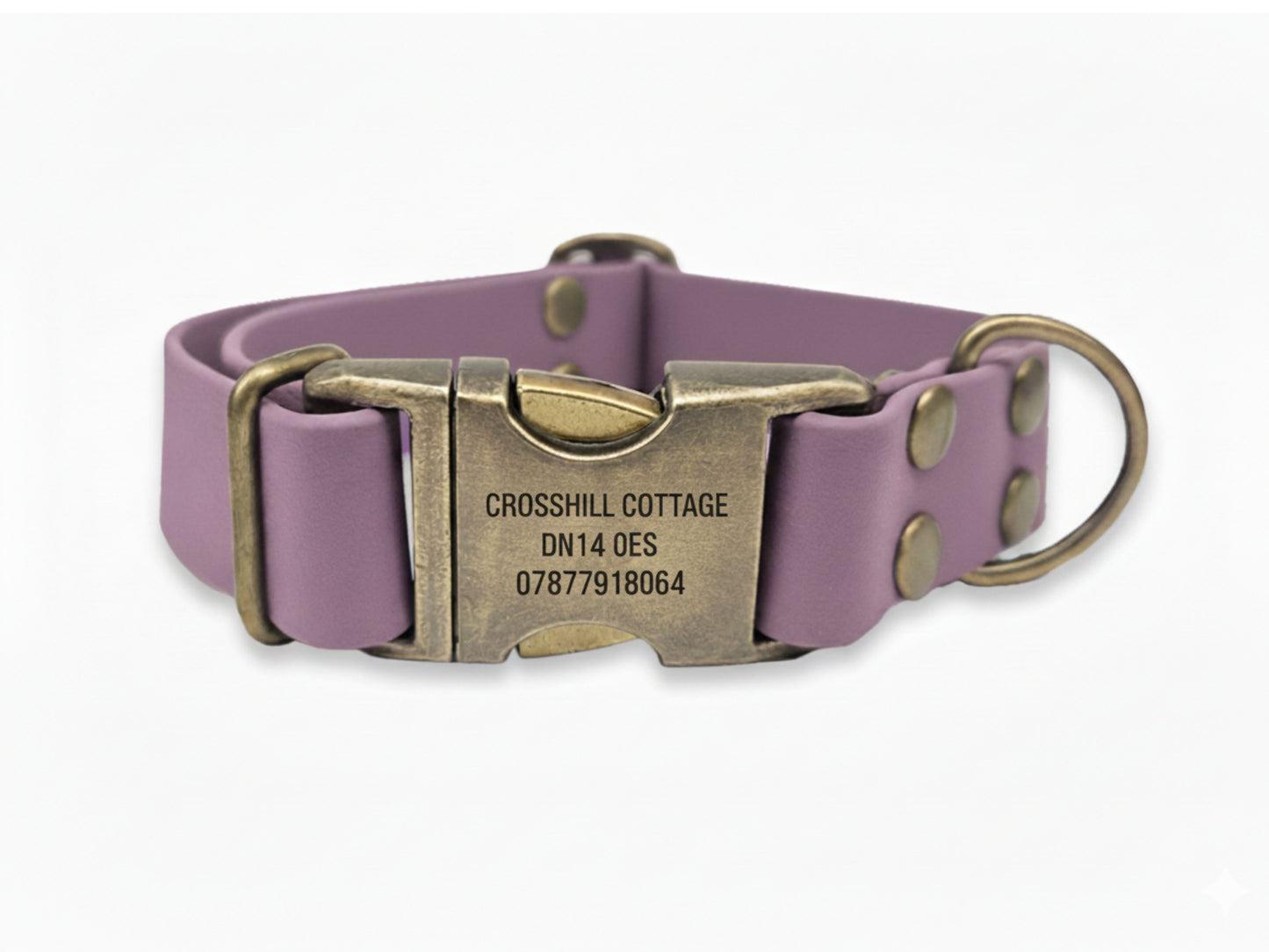 Purple dog collar with brass buckle and engraved text on a white background