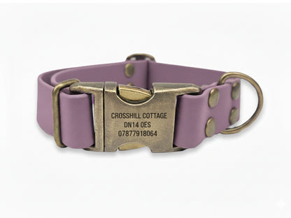 Purple dog collar with brass buckle and engraved text on a white background