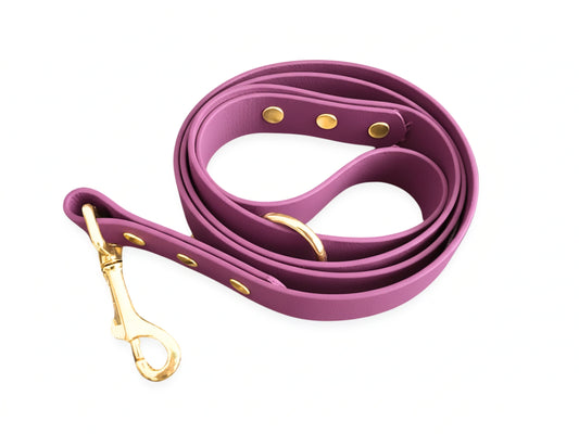 Purple dog leash with gold hardware on a white background