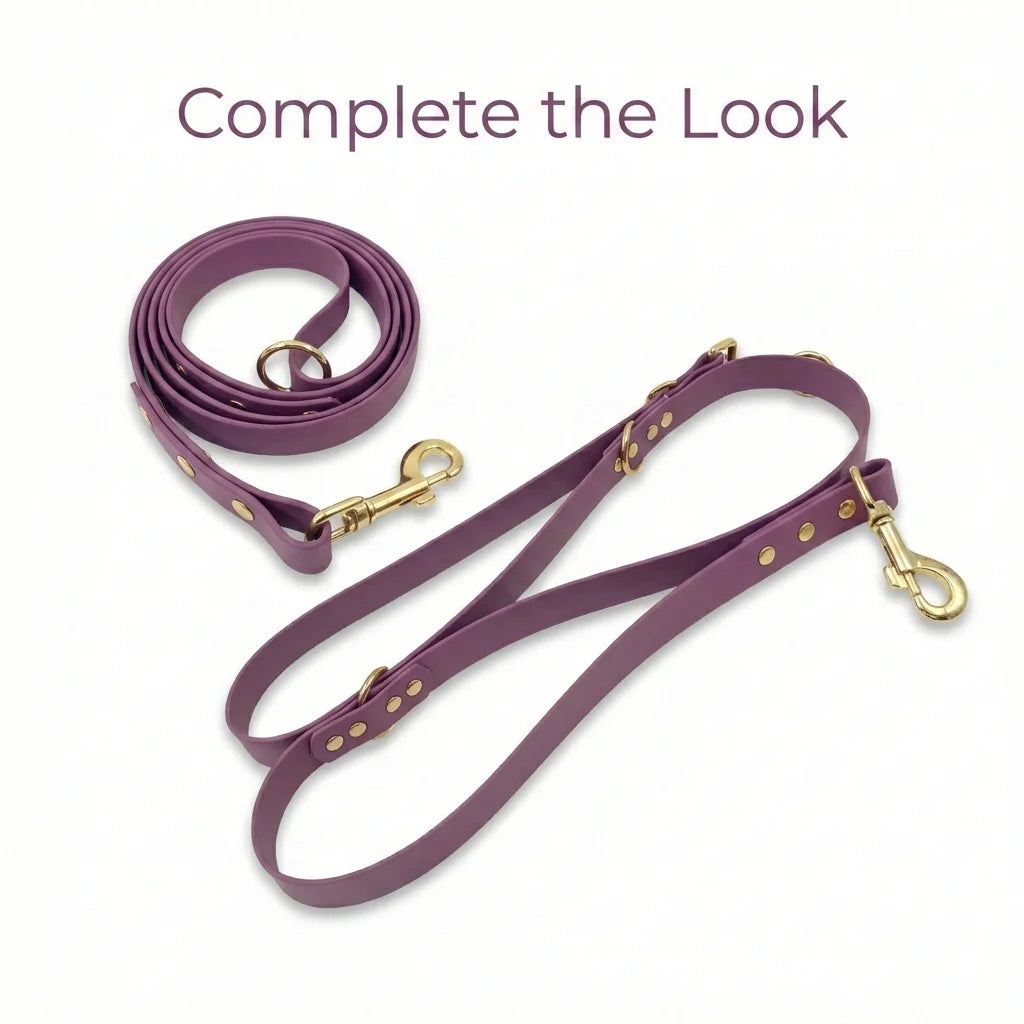 Mauve Waterproof Biothane Metal Clasp Dog Collar