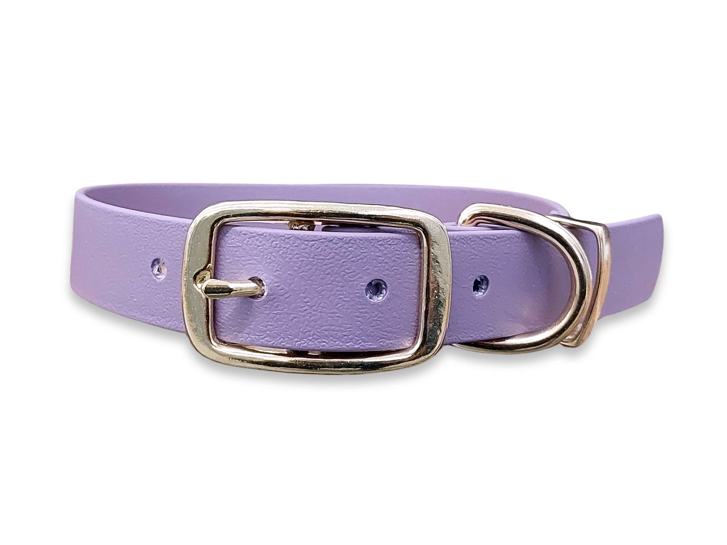 Waterproof and durable Mauve Biothane dog collar with sturdy buckle fastening – by Collared Creatures