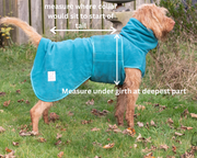 Green Perfectly Practical Dog Drying Coat