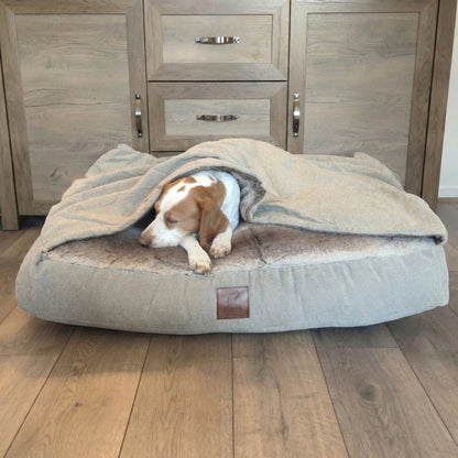 medium brown and white dog sleeping inside beige collared creatures snuggle sack on wooden floor
