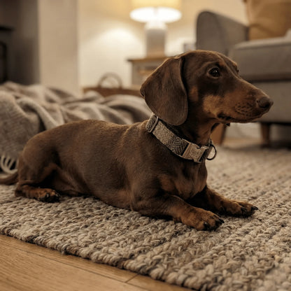 Green Block Herringbone Luxury Harris Tweed Dog Collar