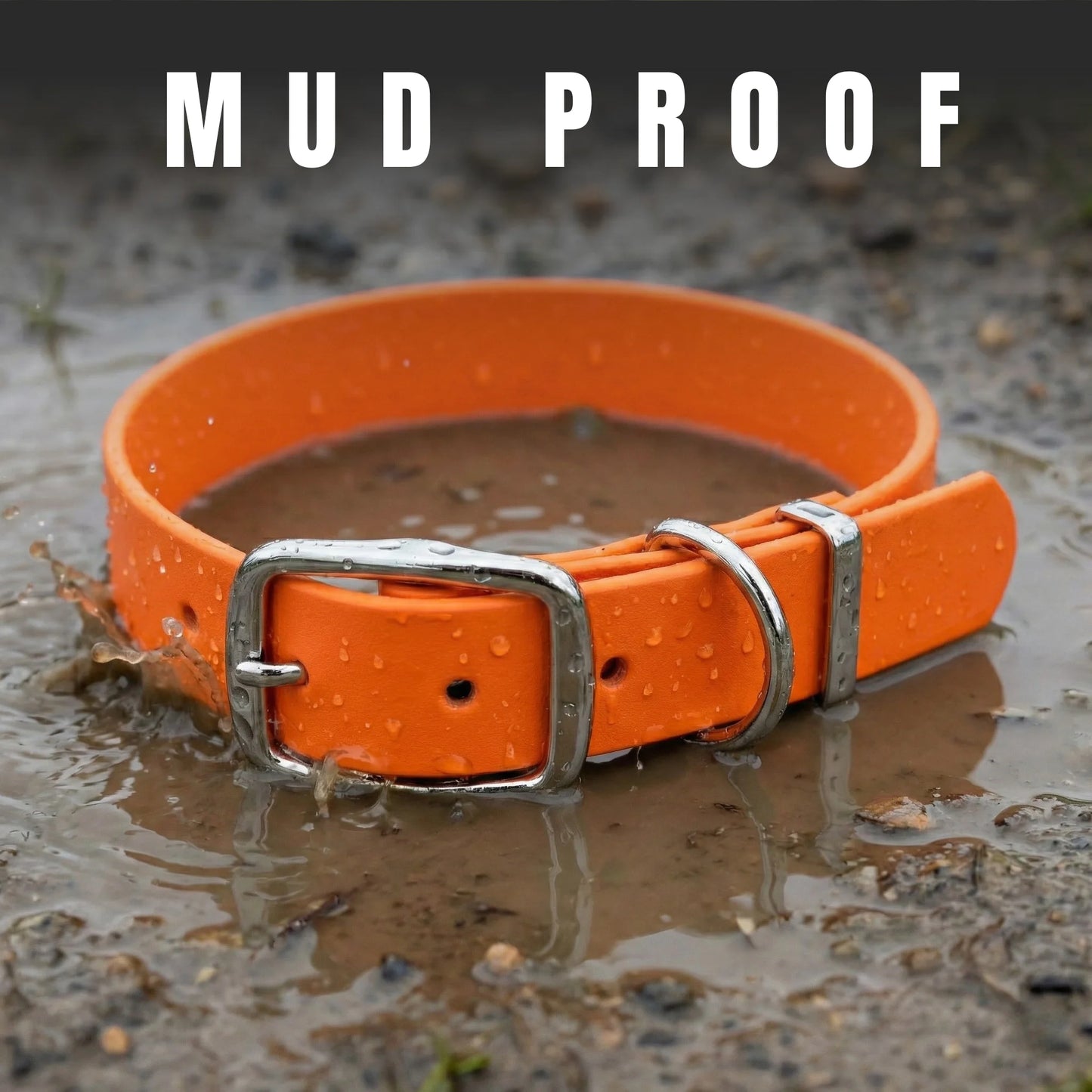 Neon Orange Waterproof Biothane Buckle Dog Collar