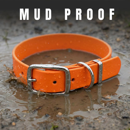 Neon Orange Waterproof Biothane Buckle Dog Collar