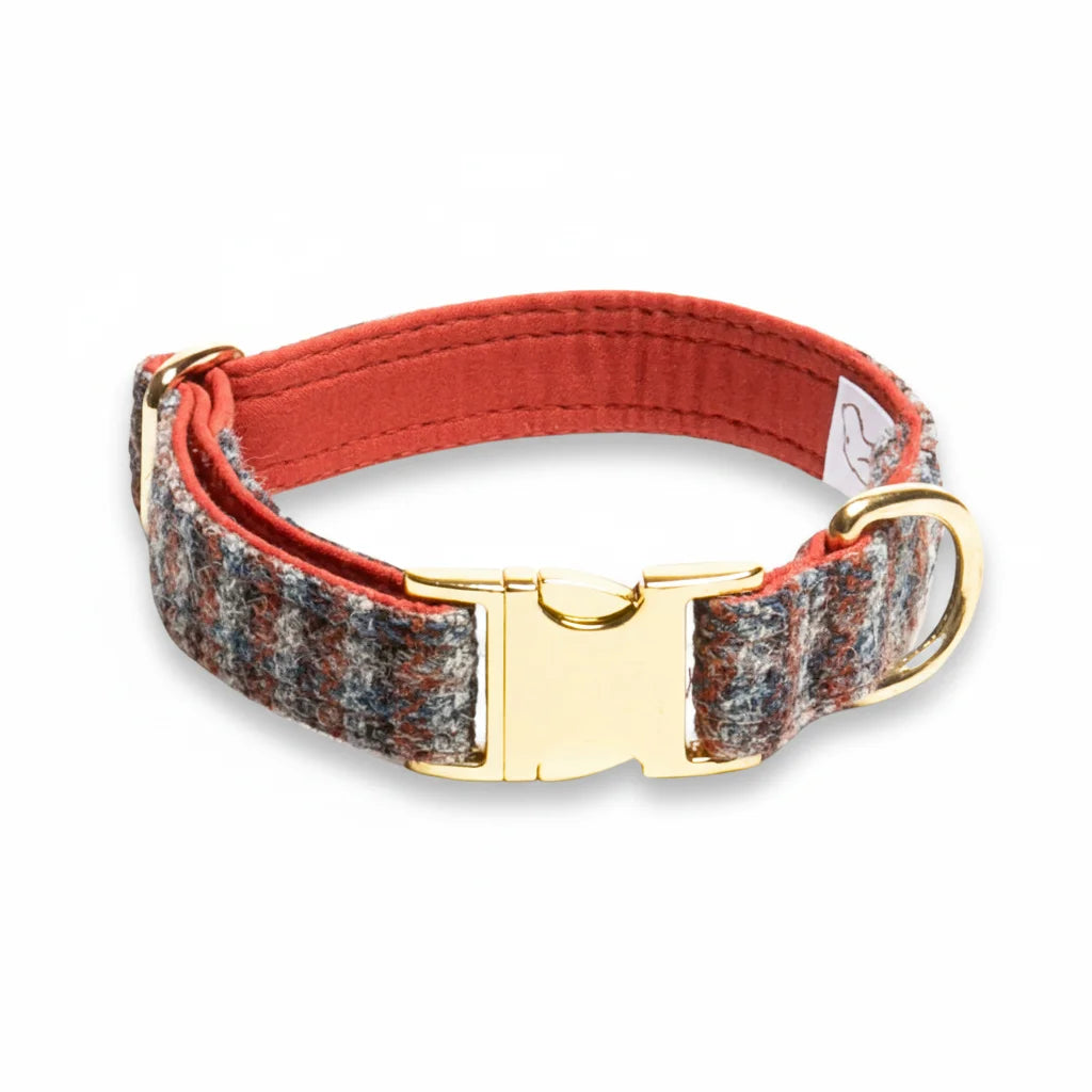 Multi check blue, orange and grey Harris Tweed dog collar with brass clasp on a white background