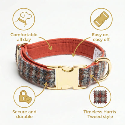 Multi Check Blue, Orange & Grey Luxury Harris Tweed Dog Collar - Collared Creatures LTD