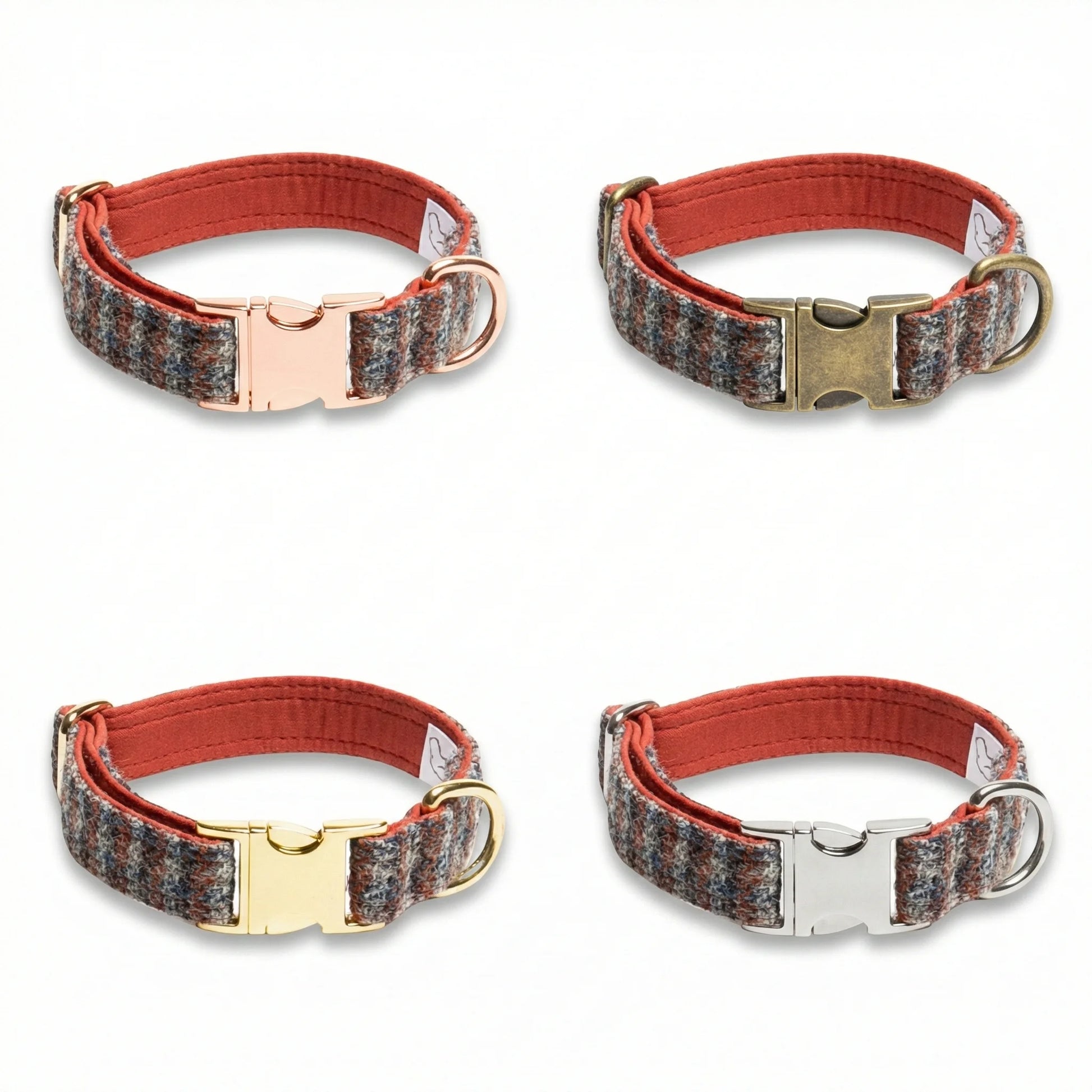 Four dog collars with different metal buckles on a white background