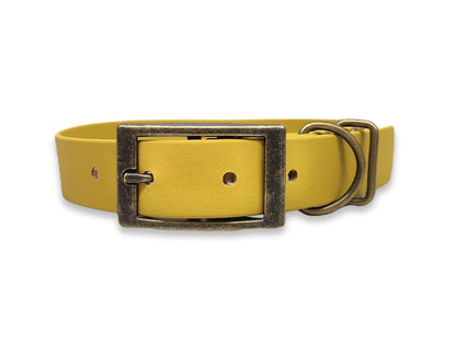 Yellow dog collar with a bronze buckle on a white background