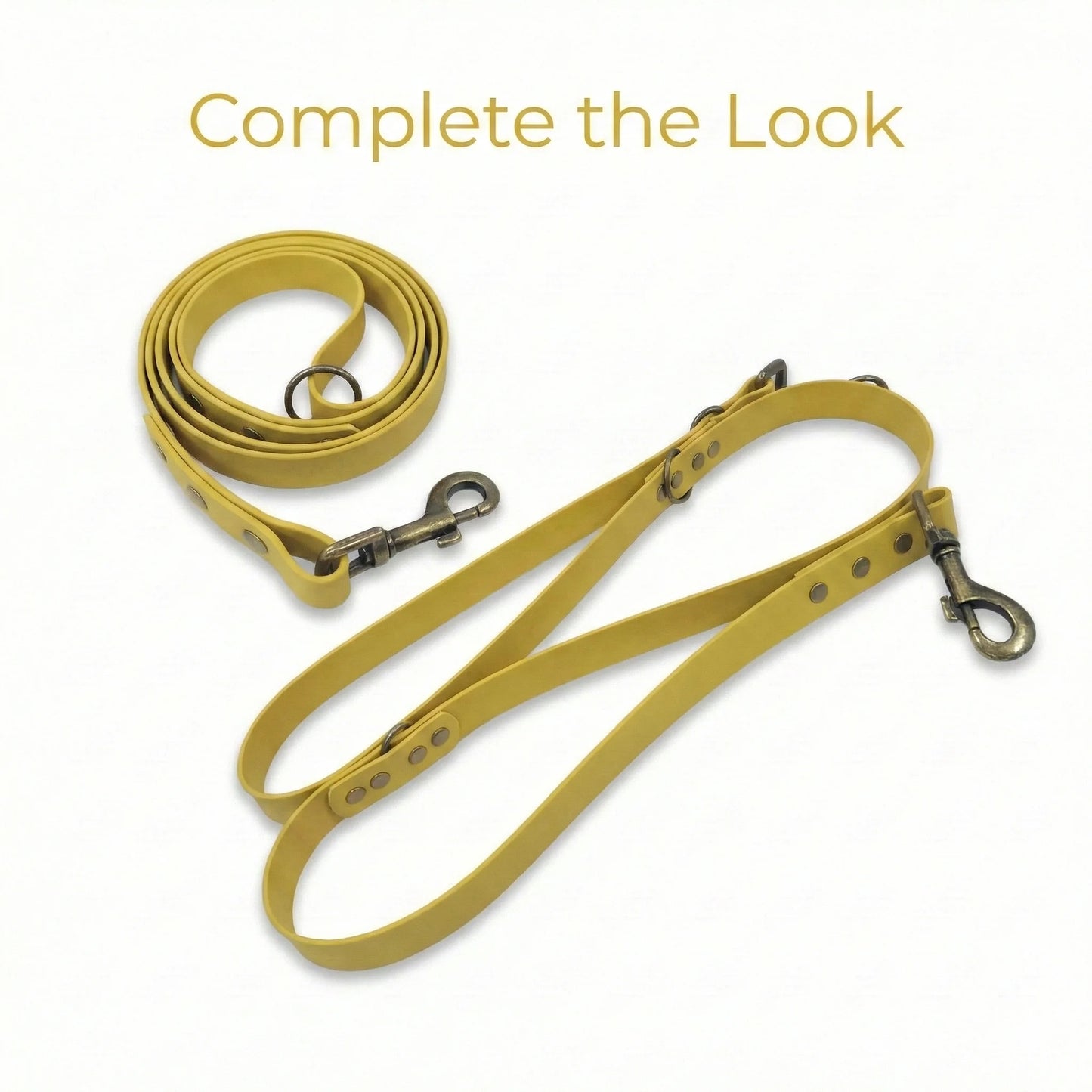 Mustard Waterproof Biothane Buckle Dog Collar - Collared Creatures LTD