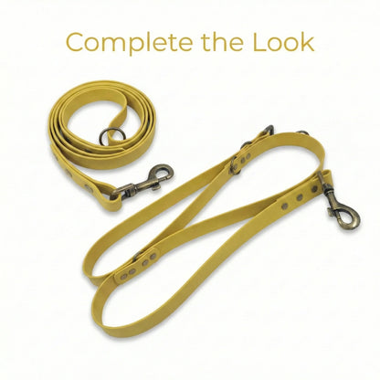 Mustard Waterproof Biothane Buckle Dog Collar - Collared Creatures LTD